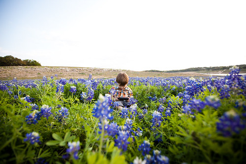 Anthony in Bluebonnets-0011