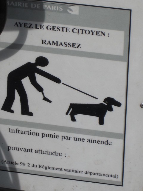 TRanslation PROBE YOUR DOG RAMASSEZ