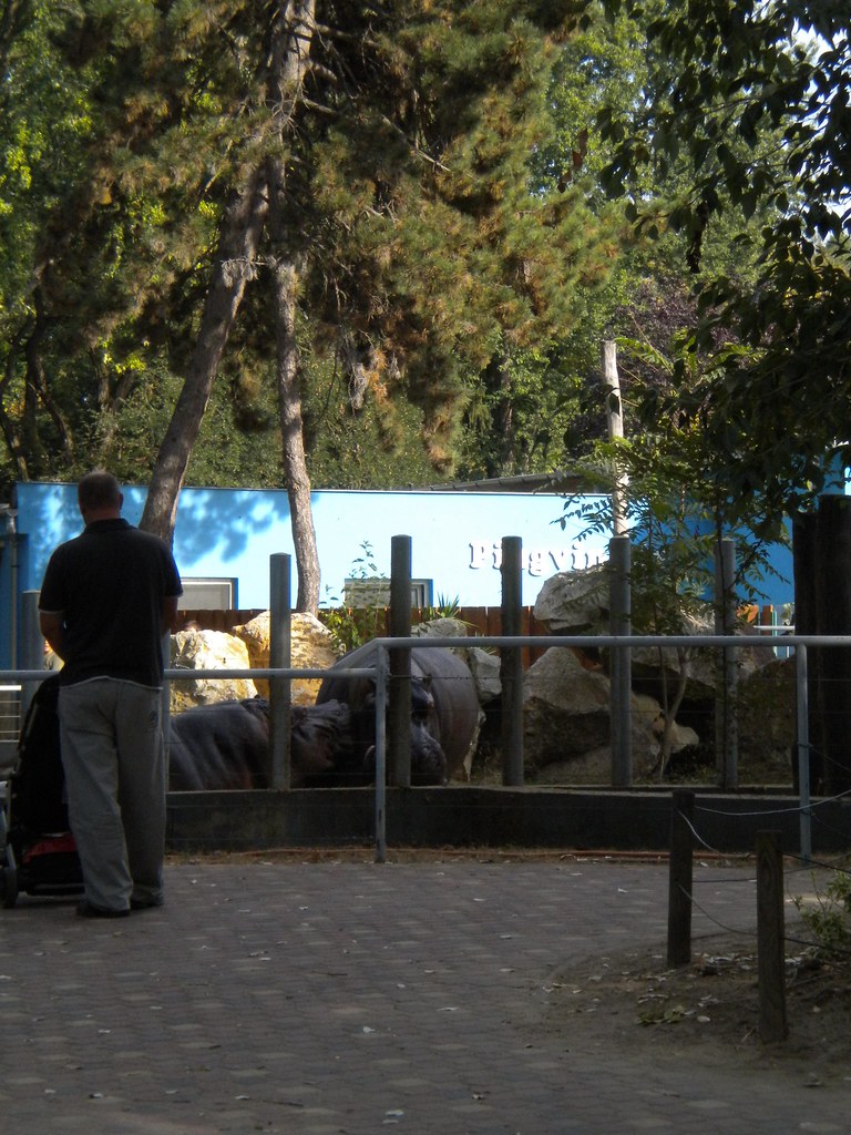 Zoo de Debrecen
