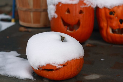 snowy pumpkins1