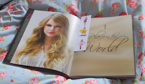 Taylor Swift by Andrew Vaughan (Stirling Publishing, 2011) by Jay Tilston