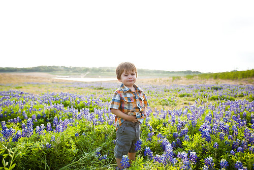 Anthony in Bluebonnets-0004