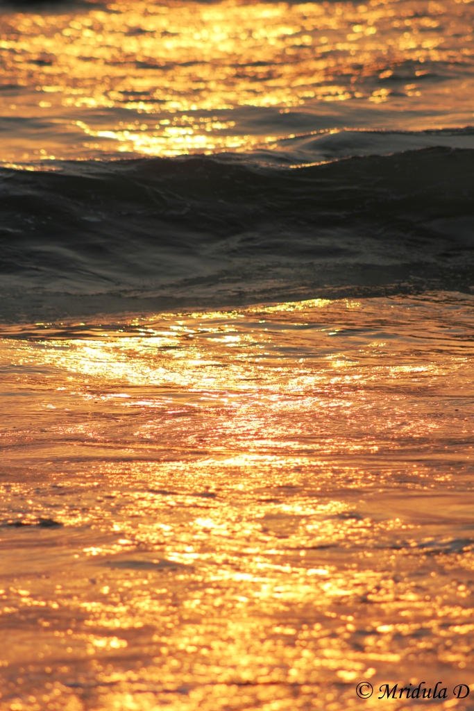 The Golden Sea, Goa, India
