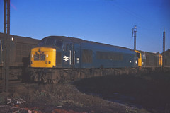 Class 44-46