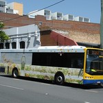 Brisbane Transport 1039