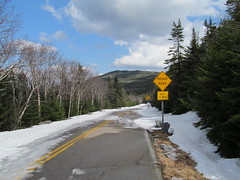 Esther from Whiteface Memorial Highway
