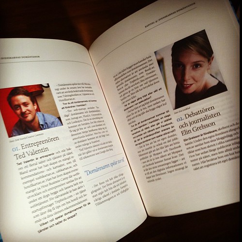 Rafflande innehåll i boken om domännamn, featuring @tedvalentin och @elingrelsson