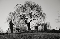 NJ - Trenton - Riverview Cemetery