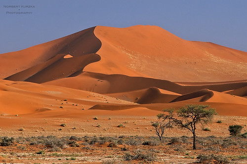 red dunes