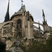 Notre Dame (back)