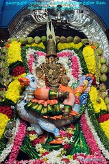 2011 - Navarathri