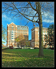 The University of  Michigan