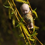 Tiny Things #82: Willow Baby