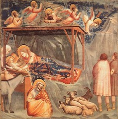 Giotto_Nativity
