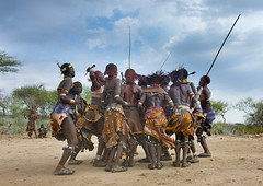 Bull jumping Ethiopia