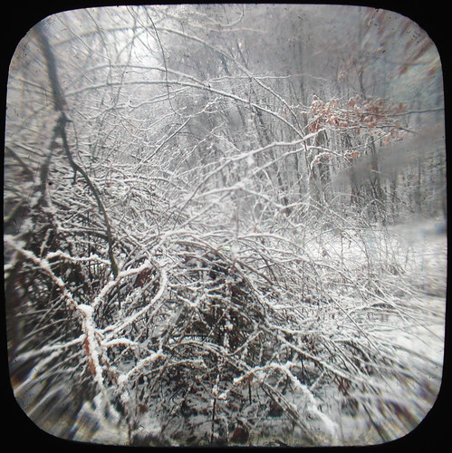 Winter Field Edge: Ttv by john_fobes