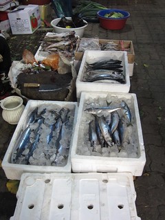 Selling mackerel in the street