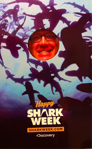 Happy Shark Week
