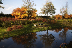 amsterdam, westerpark, autumn