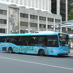 Brisbane Transport City Sights Bus Tour 560