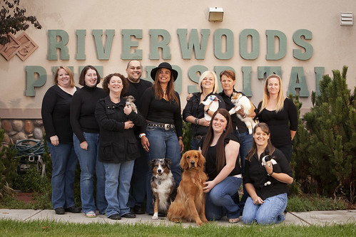 Riverwoods Pet Hospital