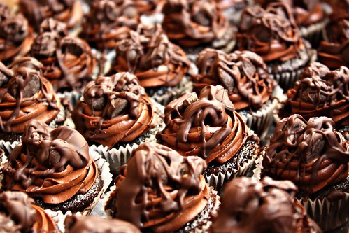 Chocolate Wasted Mini Cupcakes