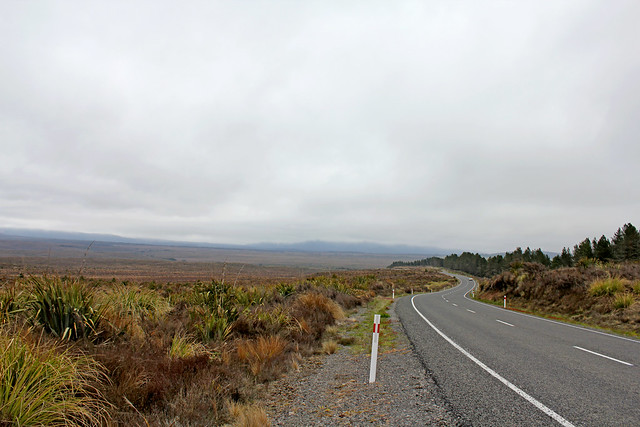 Tongariro drive