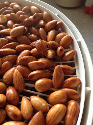 soaked raw almonds