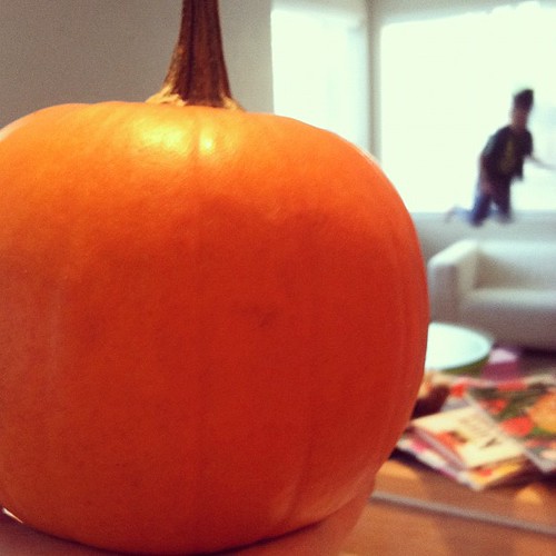 Just a nice picture of a pumpkin. Nothing to see here.