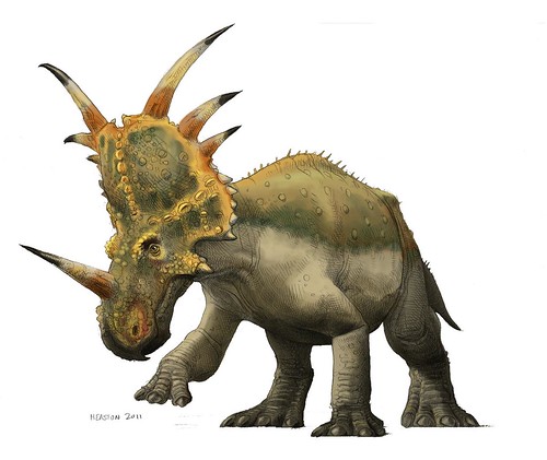 styracosaurus color