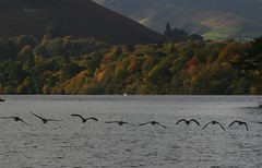 Lake District Autumn 2011