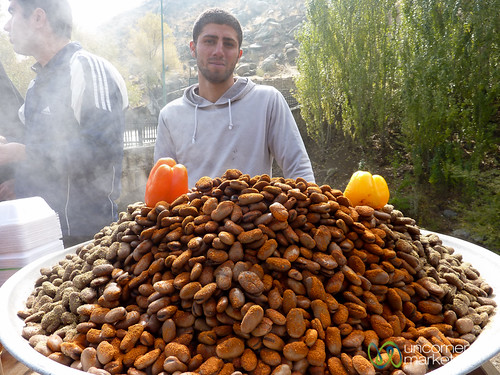 Iran food