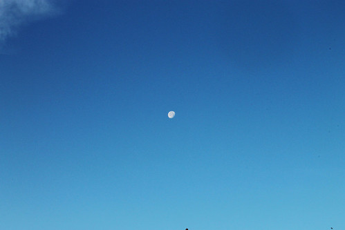 Morning Moon (115)