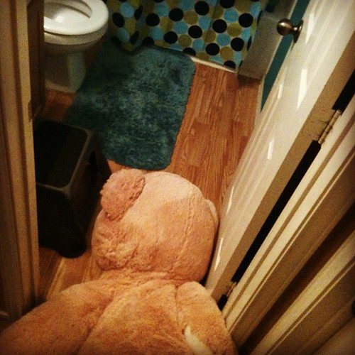 Apparently, Giant Bear had a rough night after we went to bed. by seanclaes