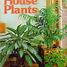 How to Grow House Plants