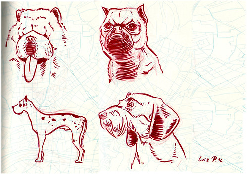 Animal Sketch by Luiz MEMO