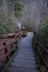 Stairs to Overlook