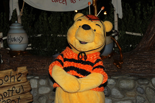 Meeting Winnie the Pooh