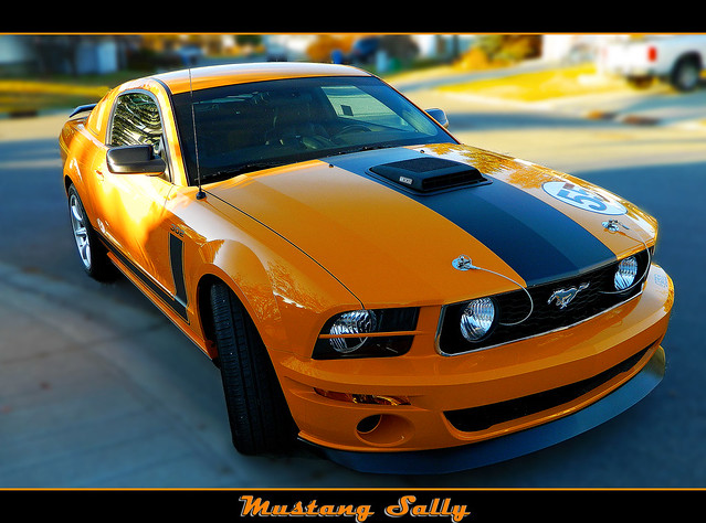 If I owned this gorgeous sexy Mustang I would name her Sally
