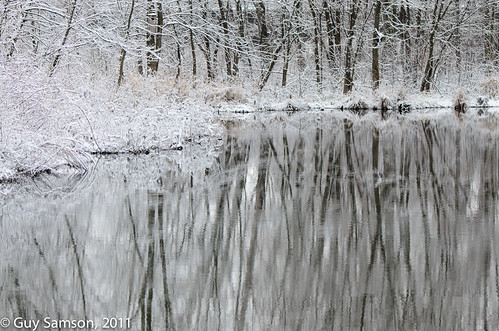 Reflexion On A Frozen Pond by guysamsonphoto