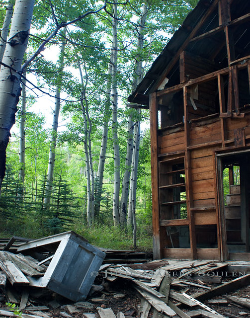 A stark contrast between an abandoned mountain cabin in ruins and the green aspen forest that surrounds it.