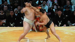 Nodowa start baruto vs harumafuji Day12_2011Nov