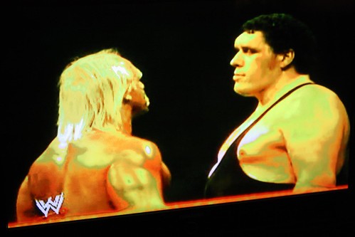 Hogan and Andre Stare Down