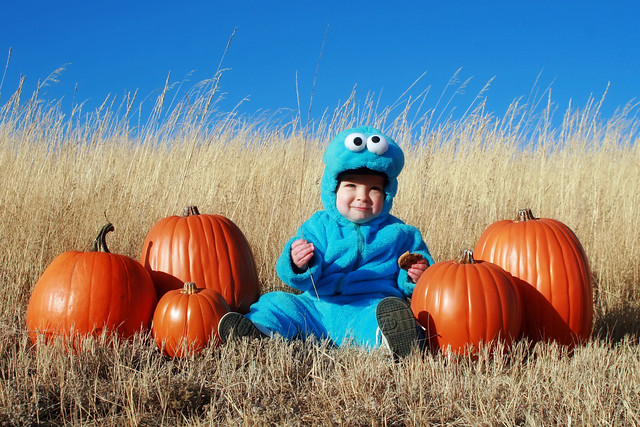 Cookie Monster Halloween 2011