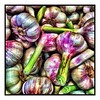 #garlic #variation #weeklymarket