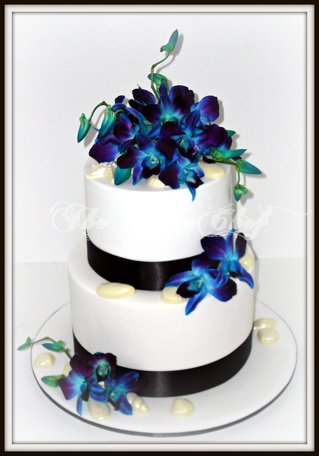 Blue Orchids Sea Shells A simple white wedding cake with black satin 