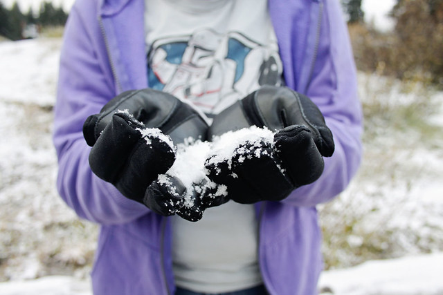 Salt Lake City snow hands
