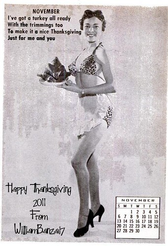 BANZAI7 THANKSGIVING GREETING by Colonel Flick