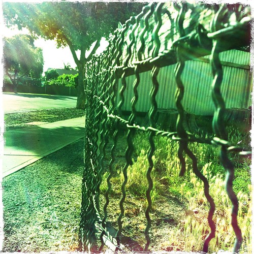 Wire fence. Day 364/365.
