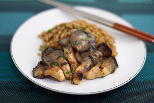 miso grilled oyster mushrooms + buttered farro